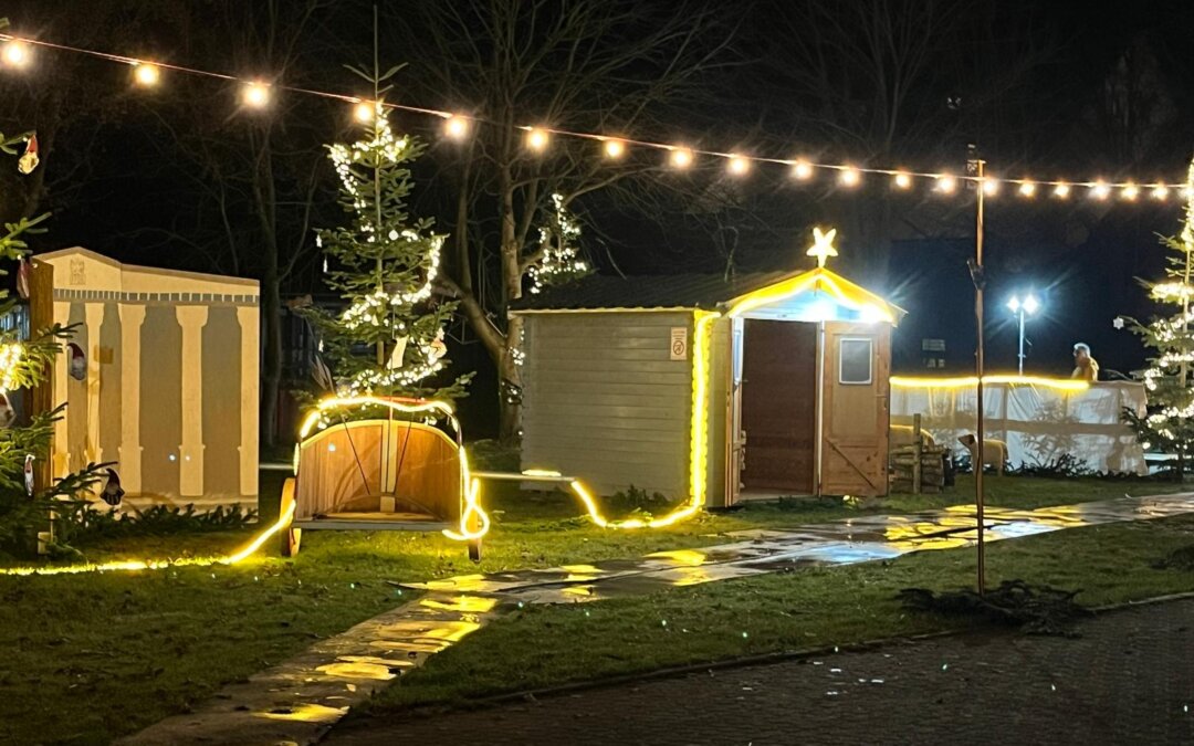 Treff:punkt Weihnachtsgarten